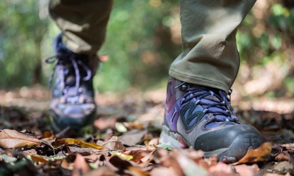 Columbia Mens Newton Ridge Plus Ii Suede Waterproof Hiking Shoe 1746411